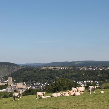 Ferienwohnung Auf Der Moselhoehe - Naehe Koblenz Und Cochem ดีบลิค ภายนอก รูปภาพ