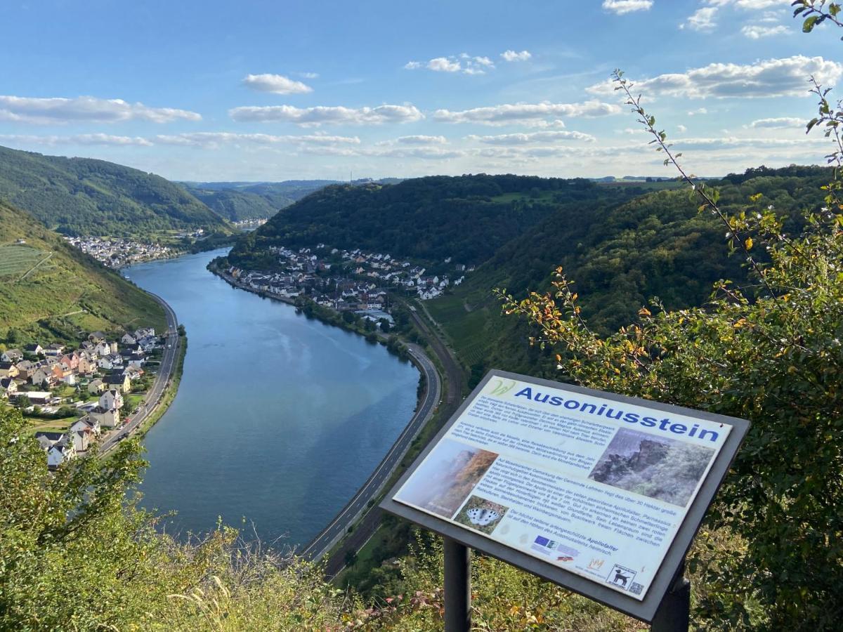 Ferienwohnung Auf Der Moselhoehe - Naehe Koblenz Und Cochem ดีบลิค ภายนอก รูปภาพ
