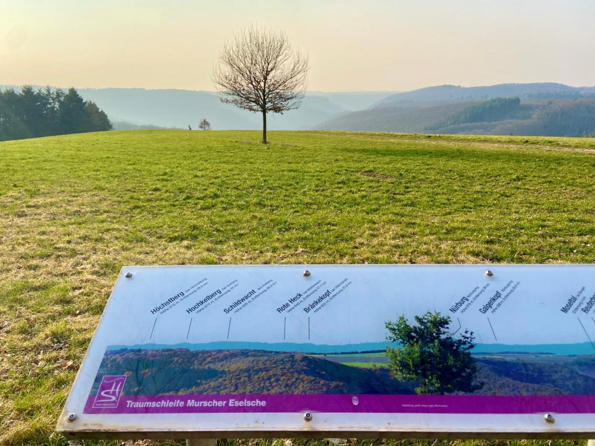 Ferienwohnung Auf Der Moselhoehe - Naehe Koblenz Und Cochem ดีบลิค ภายนอก รูปภาพ