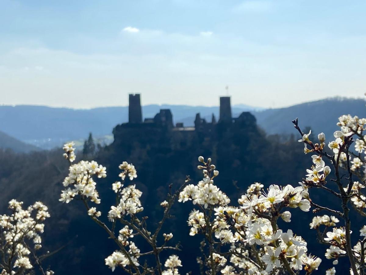 Ferienwohnung Auf Der Moselhoehe - Naehe Koblenz Und Cochem ดีบลิค ภายนอก รูปภาพ