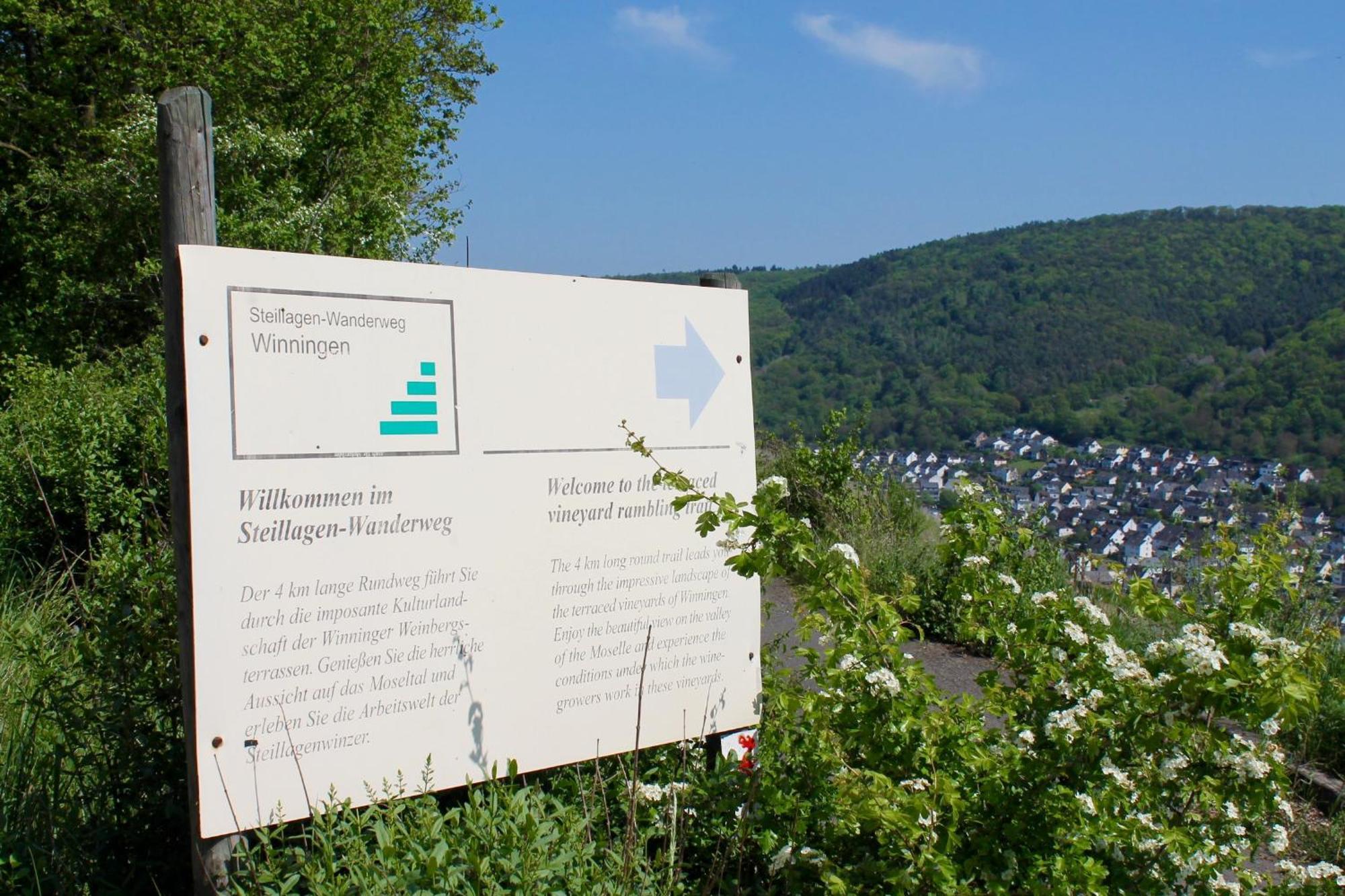 Ferienwohnung Auf Der Moselhoehe - Naehe Koblenz Und Cochem ดีบลิค ภายนอก รูปภาพ
