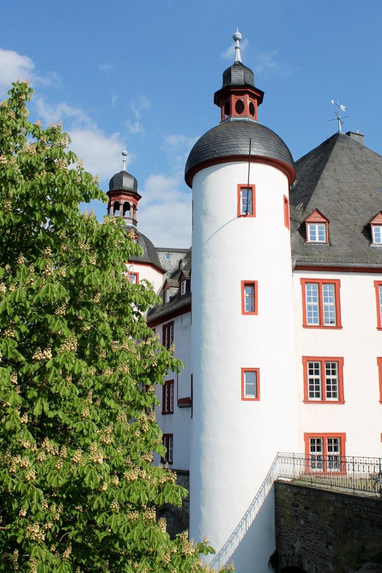 Ferienwohnung Auf Der Moselhoehe - Naehe Koblenz Und Cochem ดีบลิค ภายนอก รูปภาพ