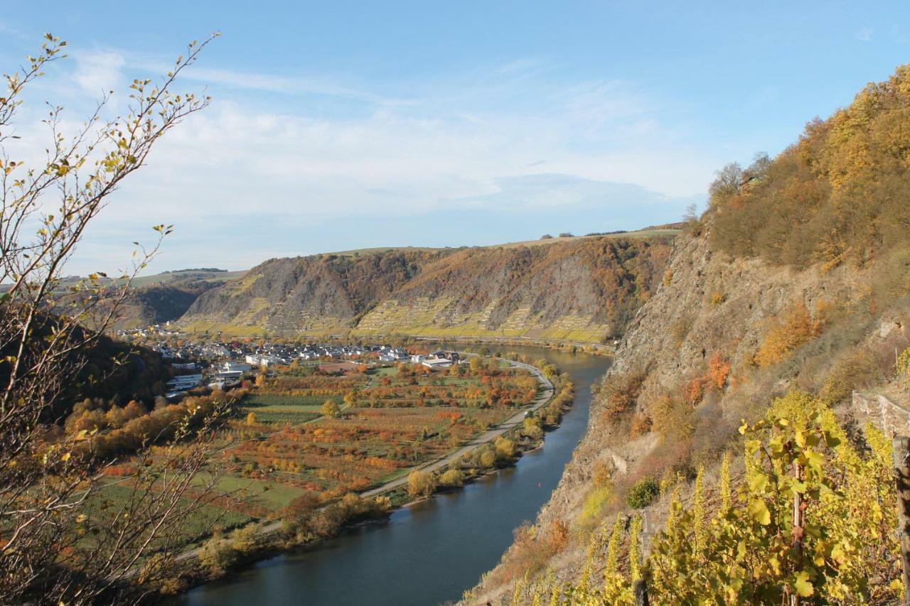 Ferienwohnung Auf Der Moselhoehe - Naehe Koblenz Und Cochem ดีบลิค ภายนอก รูปภาพ