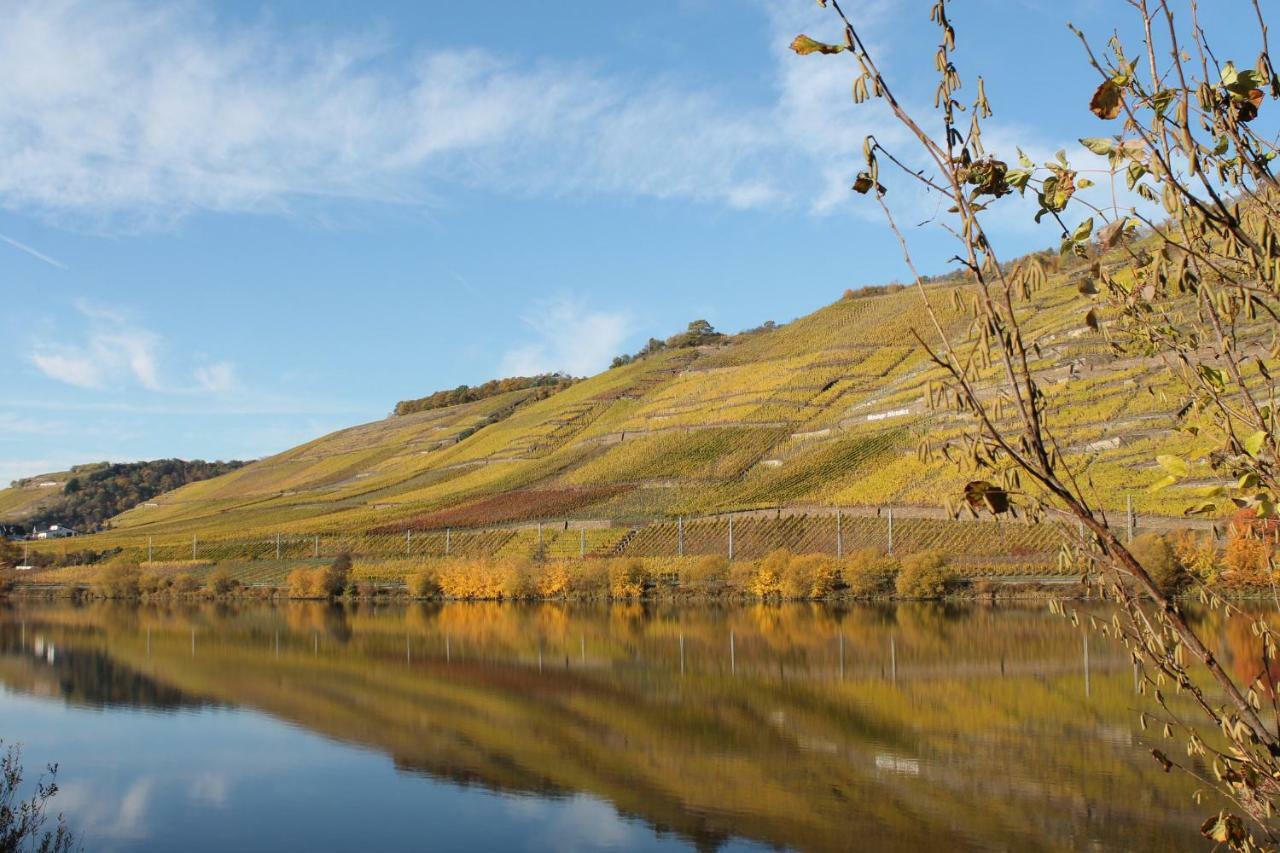 Ferienwohnung Auf Der Moselhoehe - Naehe Koblenz Und Cochem ดีบลิค ภายนอก รูปภาพ