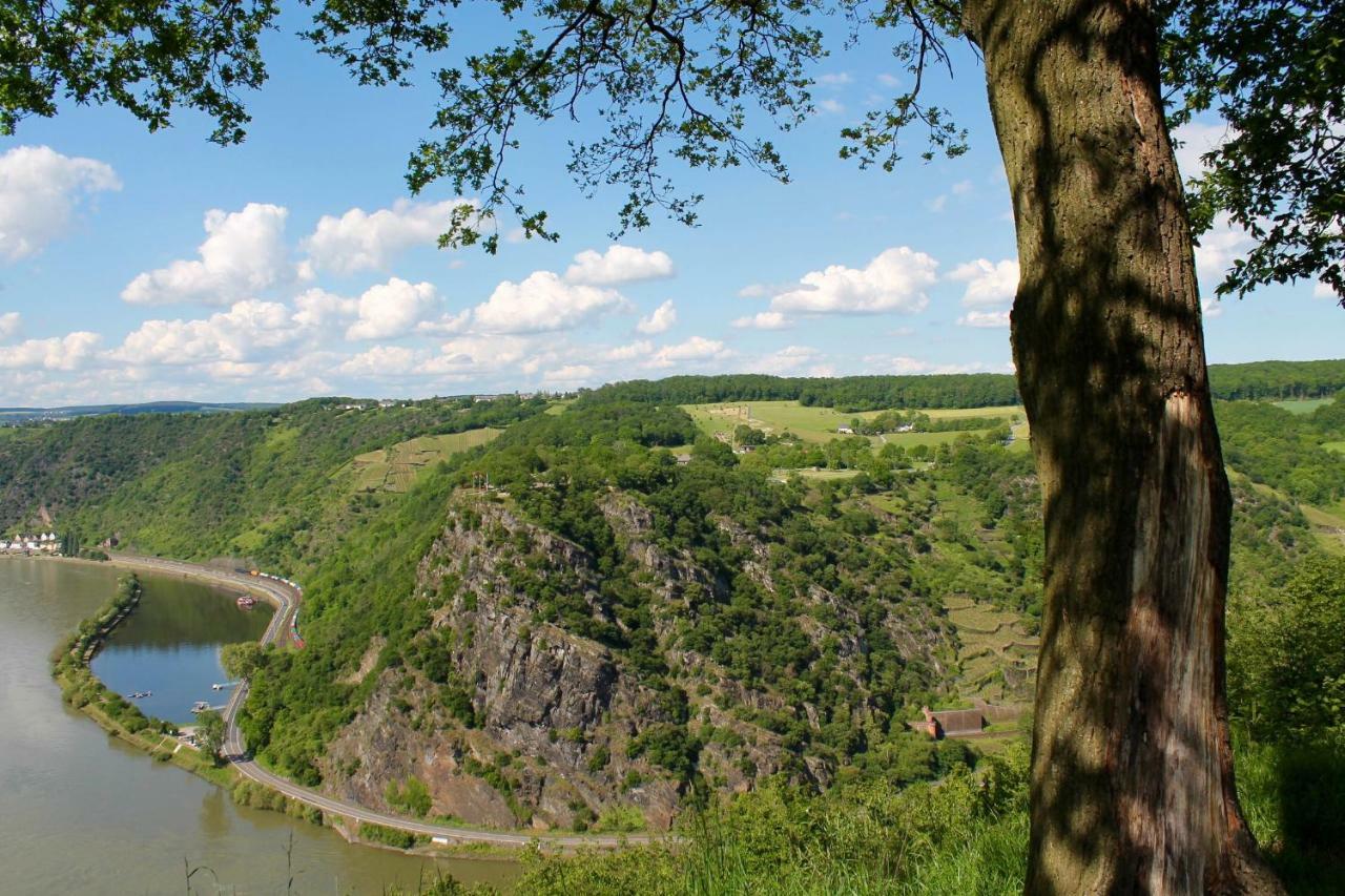 Ferienwohnung Auf Der Moselhoehe - Naehe Koblenz Und Cochem ดีบลิค ภายนอก รูปภาพ
